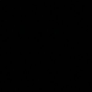 Meet your Posher, Chase